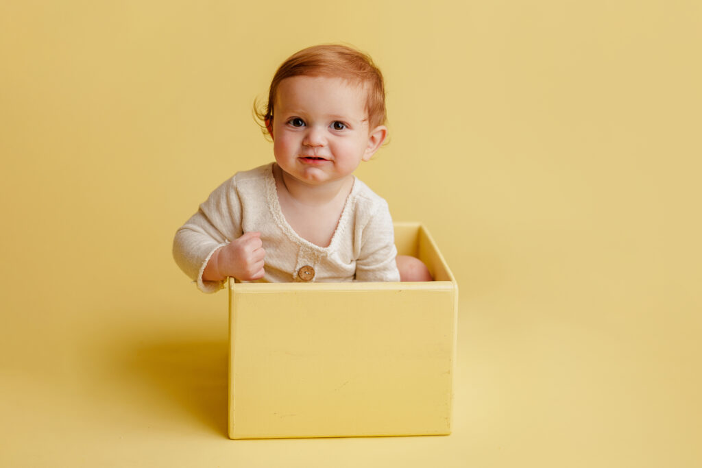 Hungry Caterpillar Cake Smash Photographer Huntsville AL Studio First Birthday Session