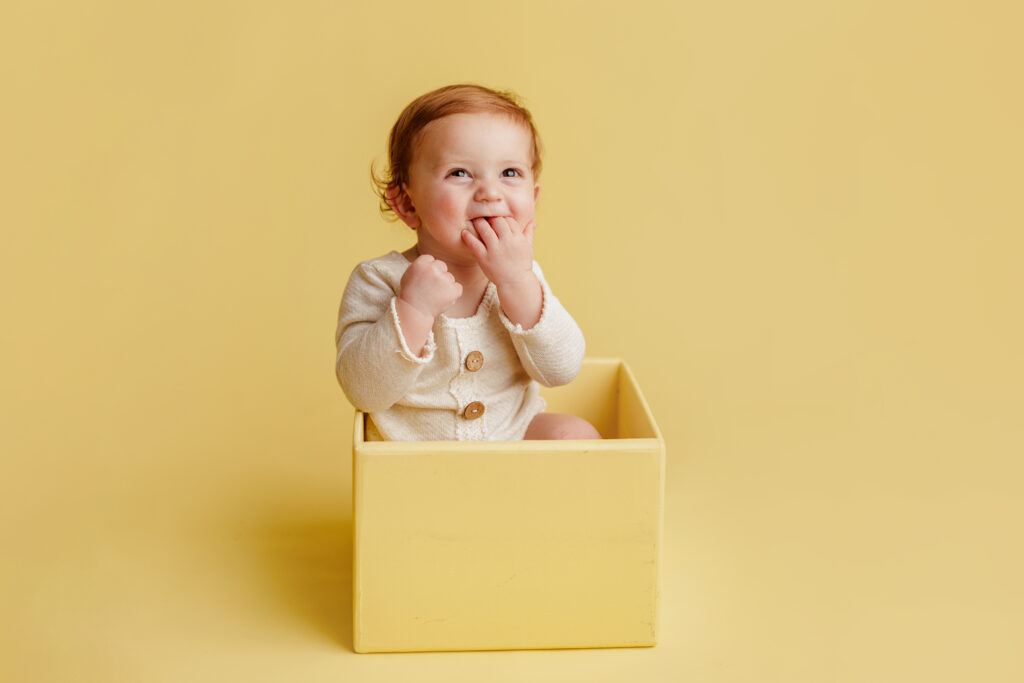 Hungry Caterpillar Cake Smash Photographer Huntsville AL Studio First Birthday Session