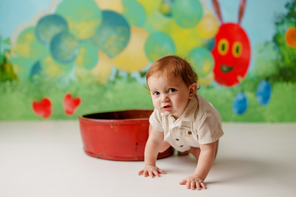 Hungry Caterpillar Cake Smash Photographer Huntsville AL Studio First Birthday Session