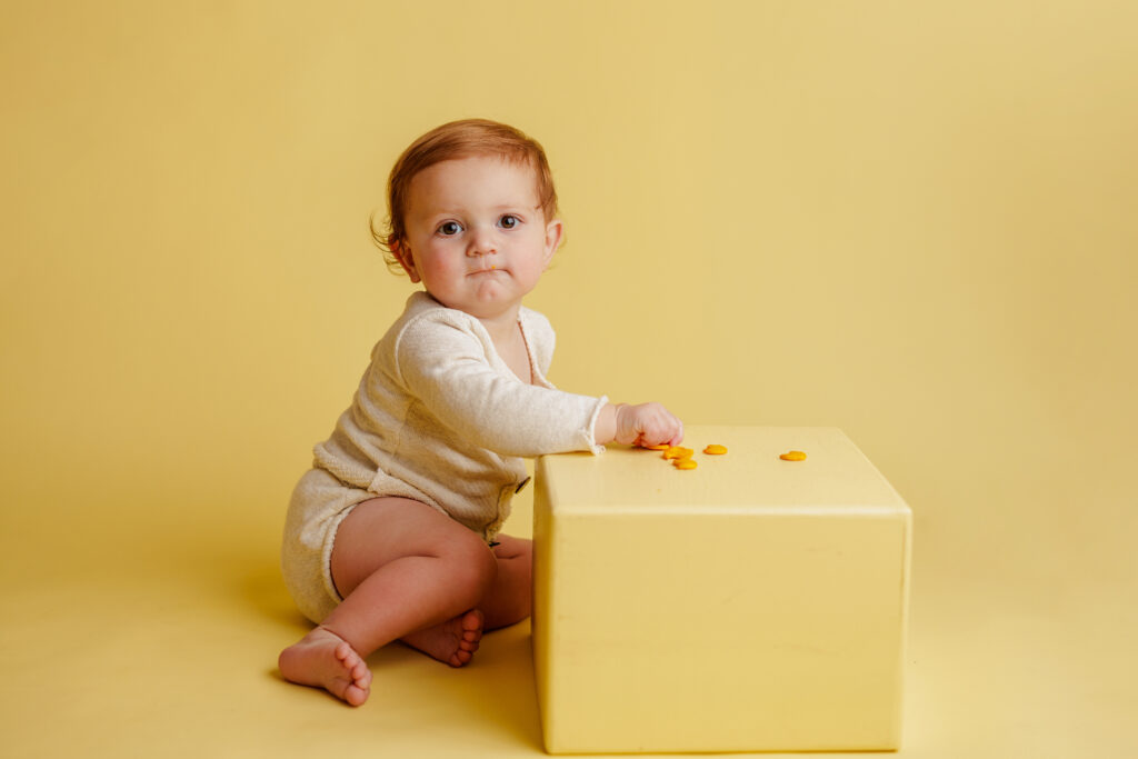 Hungry Caterpillar Cake Smash Photographer Huntsville AL Studio First Birthday Session