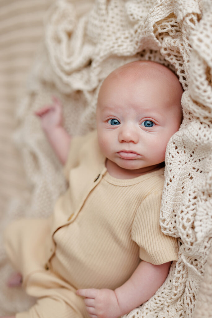 Huntsville Alabama Newborn Photographer 3 Months Old Photography Session Harvest Photo Studio