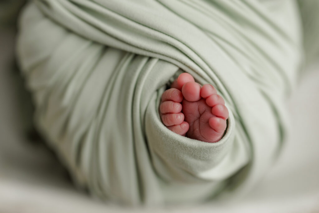 Kingsland Georgia Camden County Jacksonville Florida Studio Newborn and Family Photographer