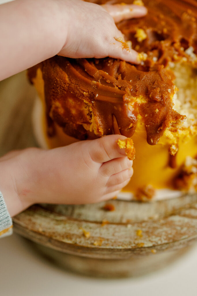 Winnie The Pooh Cake Smash Kingsland Georgia Jacksonville Florida Family Baby Photographer